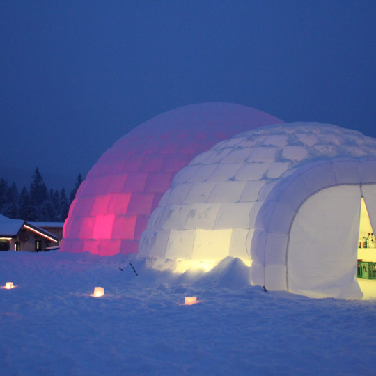Iglounge - das Iglu-Zelt
